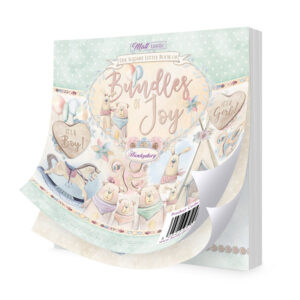 Pildiplokk "The Square Little Book of Bundles of Joy"