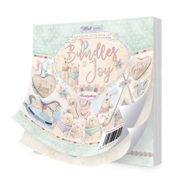 Pildiplokk "The Square Little Book of Bundles of Joy"