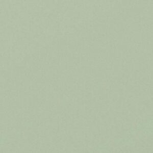Centura Pearl - Mint