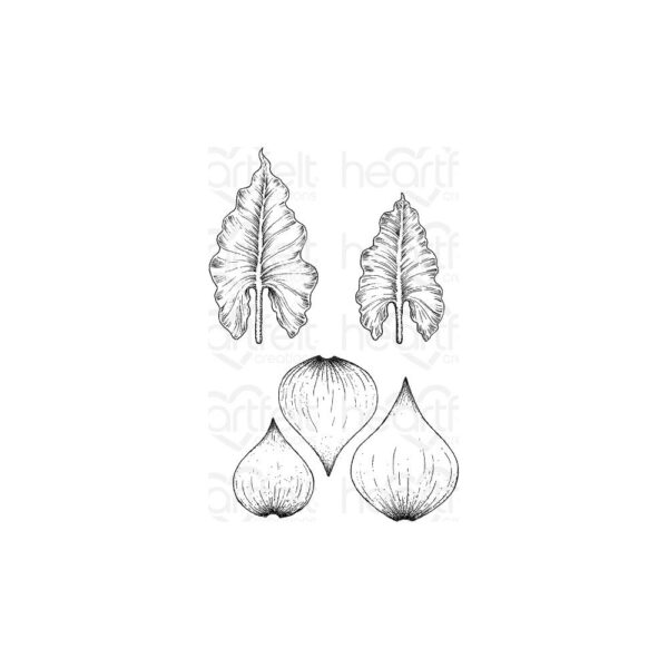 Lõiketerad+templid "Calla Lily" - Image 4