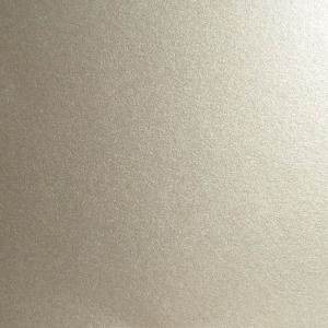 Creative Expressions - Foundations Pearl Card - Silver Shine